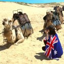 포우농장 이미지