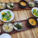 펫D.C마트 이미지