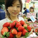 청동농장 이미지