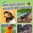 애니멀샵 이미지