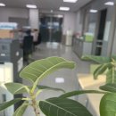 세무법인드림앤 이미지