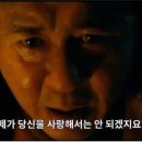 개청순한고양이 이미지