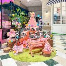 11620-4-38-5 | 제주도 쇼핑 제주 드림타워 쇼핑몰 한컬렉션 &amp; 38포차