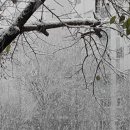 도안탑공인중개사사무소 이미지