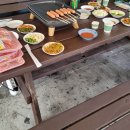 사궁두미 479 이미지