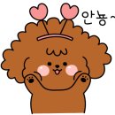 멍군애견 이미지