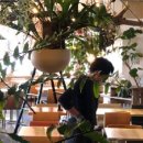 쇼카페(SHOW CAFE) 이미지
