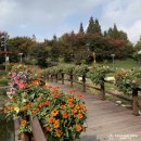 양재천근린공원 이미지