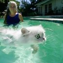 수영PC방 이미지