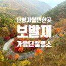 여주성당화장실 | 🍁 단양 보발재 단풍 전망대 실시간 후기 | 가을 드라이브 코스 추천🚗