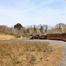 에코랜드 이미지