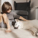 위즈동물병원 이미지