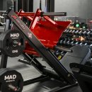 댓츠피티 이미지