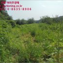 마전리진료소 이미지