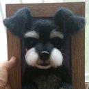 니들펠트 이미지