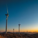 무수목장 이미지