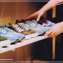 삼성그린세탁소 | 삼성전자 슈드레서, 운동화 냄새 잡는 신발건조기