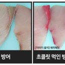 풍어수산