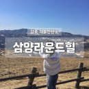 (주)삼양 | 강릉 가볼만한곳 눈녹은 삼양라운드힐 방문 후기