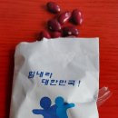 빨간강낭콩 도착요 이미지