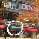 꿀벌약국 이미지