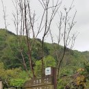 지리산추성민박 이미지