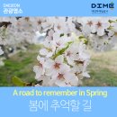 갑천로 이미지