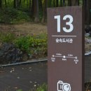 건지산숲속작은도서관 이미지