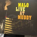 박성연 | 서울 재즈바 추천 '재즈클럽 디바야누스' 공연 후기 및 메뉴 추천