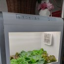 엄마손분식 이미지