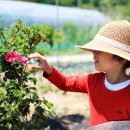 강인한농장 이미지