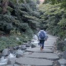 동물치유쉼터 | 제주 치유의 숲 완벽 가이드 | 숲길 코스, 산림치유 프로그램, 차롱도시락, 예약 팁 총정리