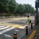 상록 초등학교 이미지