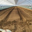 옥계농장 이미지