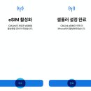 주식회사 심큰 | 베트남 다낭 가족여행 준비물 필수템! 여행용 샤워기 필터와 멀티 어댑터 및 이심 추천!