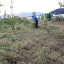 자생초농장 이미지