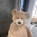 멍그린 | [파주 반려견 동반 카페] 줄 서지 않는 두쫀쿠와 치즈 폭탄 파니니, 카페인그린 브런치 후기