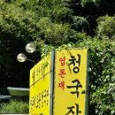 진천토종청국장 | 진천 맛집 - 엽돈재 토종 청국장