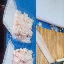 포항 죽도 시장 삼미회 식당 이미지