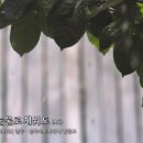 내 삶을 눈물로 채워도-나훈아 (2018) | ocarina cover by 한국식오카리나 김준모 (도자기-알토, HN-AC) 이미지