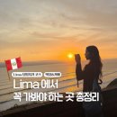 퍼스트시티경도약국 | 신시가지 당일치기 코스! (환전, 고산병약, 리마 맛집, 와라즈 야간버스 <크루즈 델 수르> 이용후기)