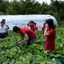 KT고령지사 이미지