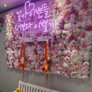 뮤직존 코인 노래연습장 이미지