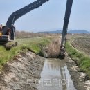 S나비의원 이미지