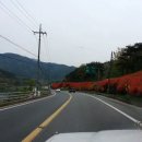 섬진강변 철쭉길 이미지