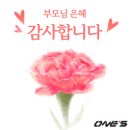 원스 태권도장 이미지