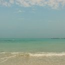 대우정식당 이미지