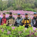 우면산 (대성사 옆) 이미지