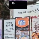 더브래드36.5 운정점 이미지