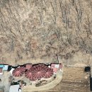 의흥벽돌 이미지